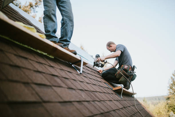 Roof Gutter Cleaning in Union, MO